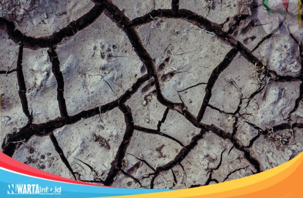 Gempa Magnitudo 5,9, Guncang Banten Di Hari Kemerdekaan 17 Agustus 2023 Gempa Bumi